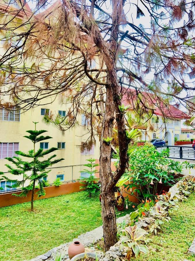 Villa Rica Residencia Hotel Baguio City Exterior foto